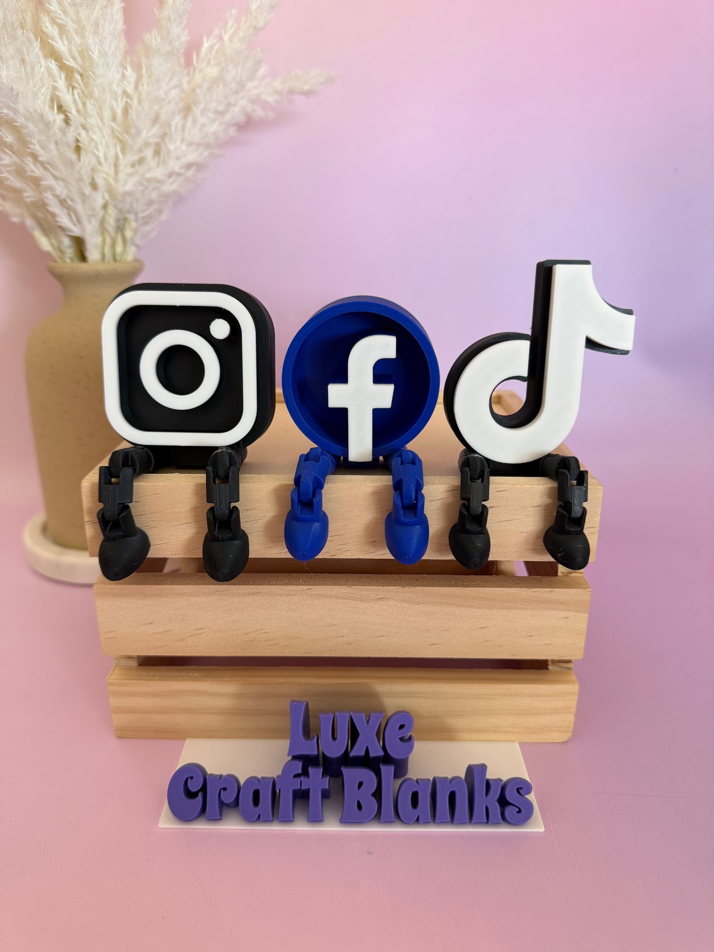 Social Media Buddies